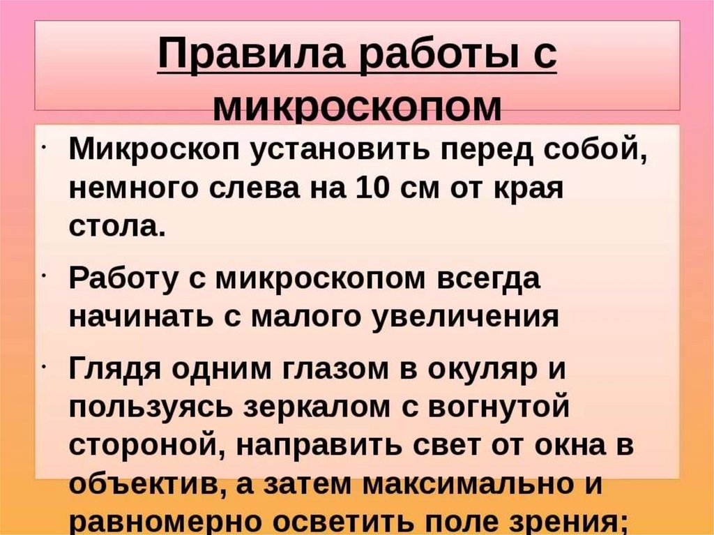 Как правильно пользоваться микроскопом