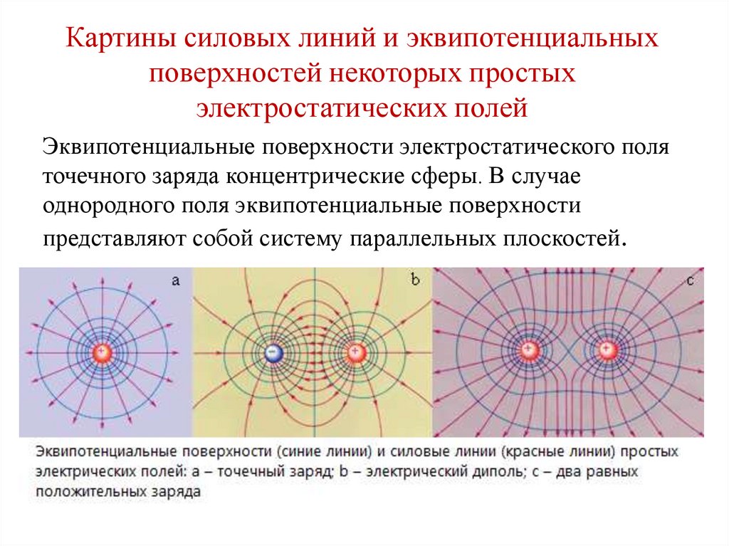 Электрон перемещается в поле линии напряженности которого показаны на рисунке