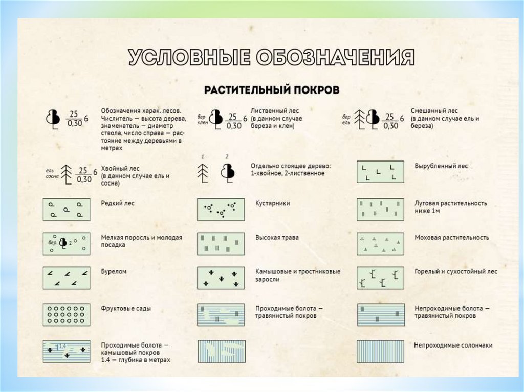 Обозначение картинки. Условные знаки топографических карт растительный Покров. Условные обозначения леса на топографической карте. Обозначение лесов на топографической карте. Условные обозначения на топографических картах 3 класс.