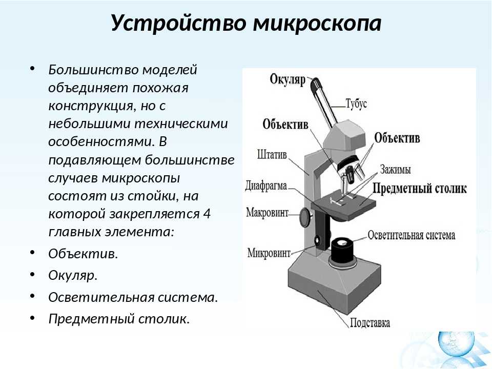 Состав цифрового микроскопа. Цифровой микроскоп qx7 строение. Цифровой электронный микроскоп микроскоп строение. Строение микроскопа цифрового микроскопа. Устройство микроскопа цифровой микроскоп 5 класс биология.
