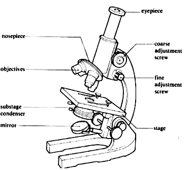 Рисунок микроскопа строение микроскопа