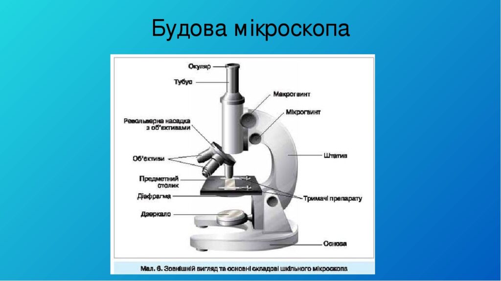 Подпишите основные части микроскопа на рисунке