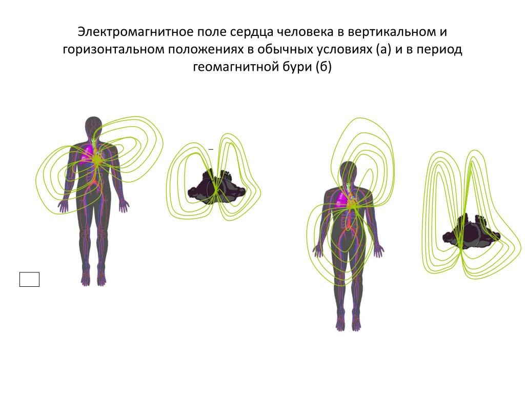 Магнитное поле человека фото