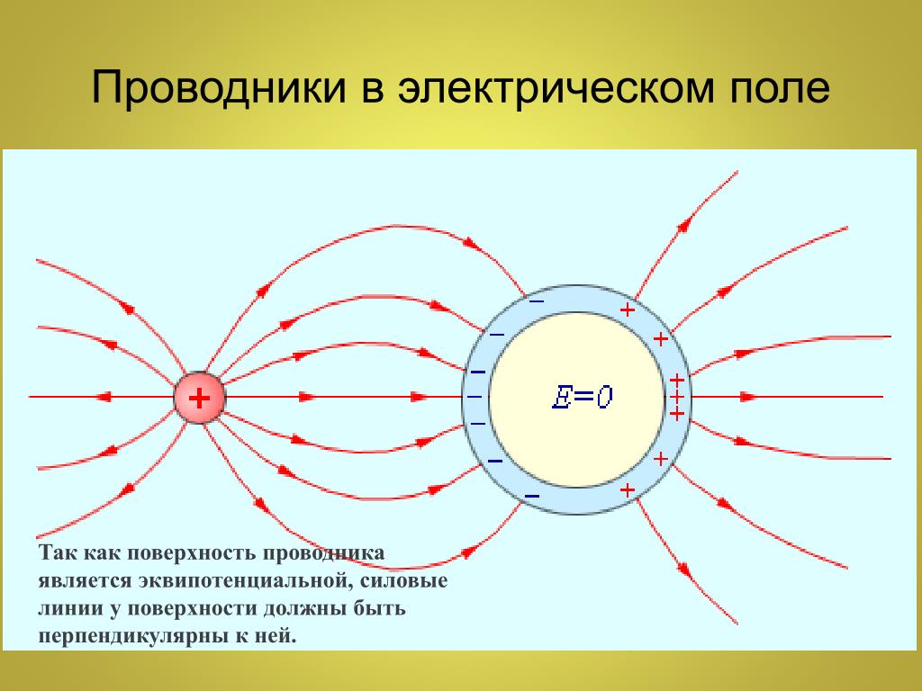 Проводники в электростатическом поле рисунок