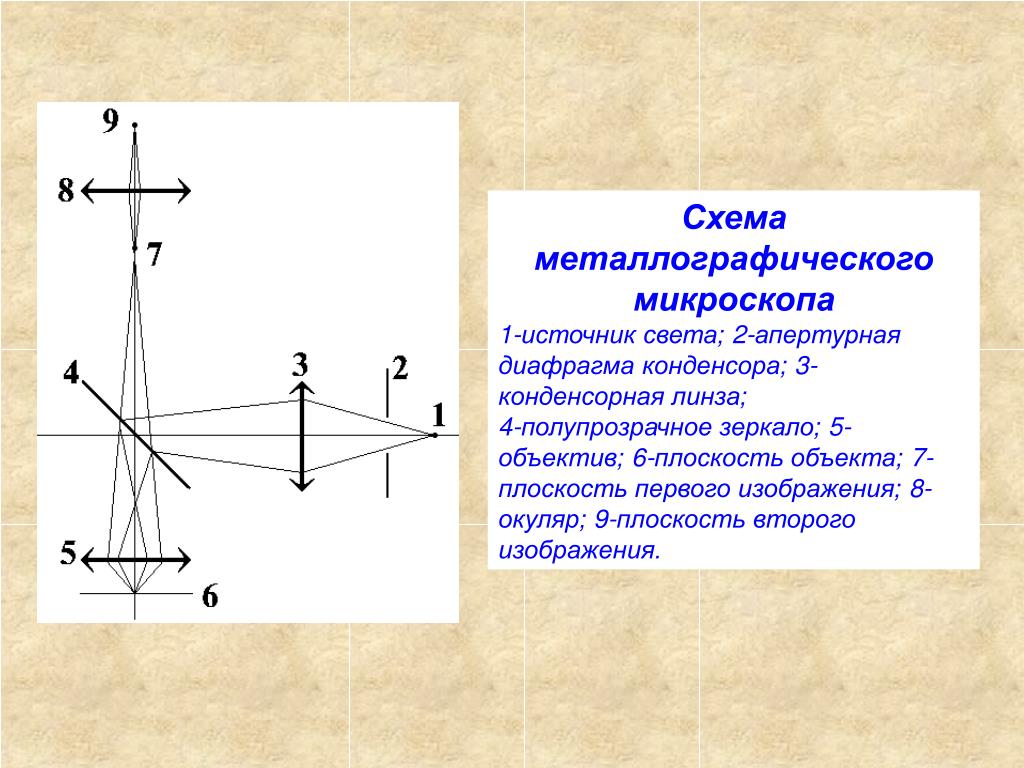 Оптический микроскоп схема