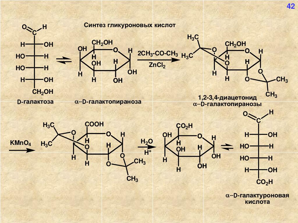 Синтез кислот. Галактоза образование галактуроновой кислоты. Образование галактуроновой кислоты из галактозы. Реакция получения d-галактуроновой кислоты. Галактуроновая кислота получение реакция.