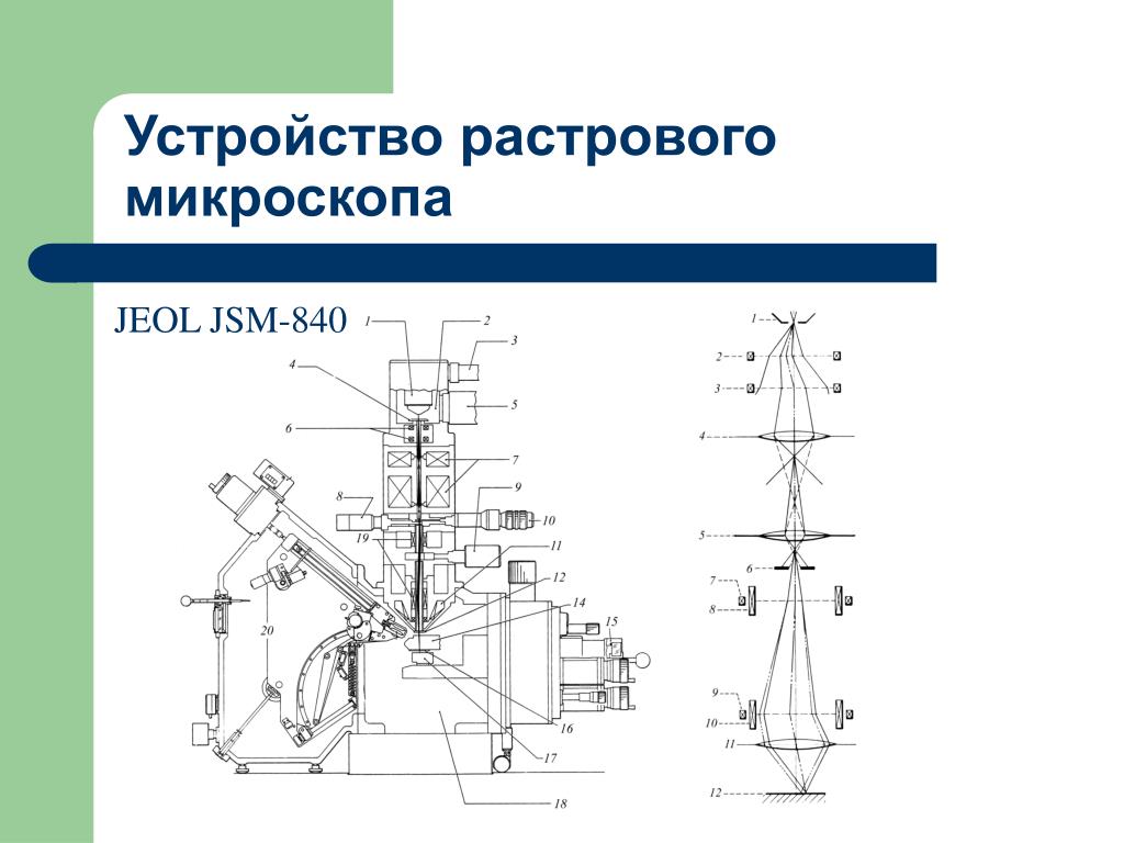 Устройство микроскопа схема