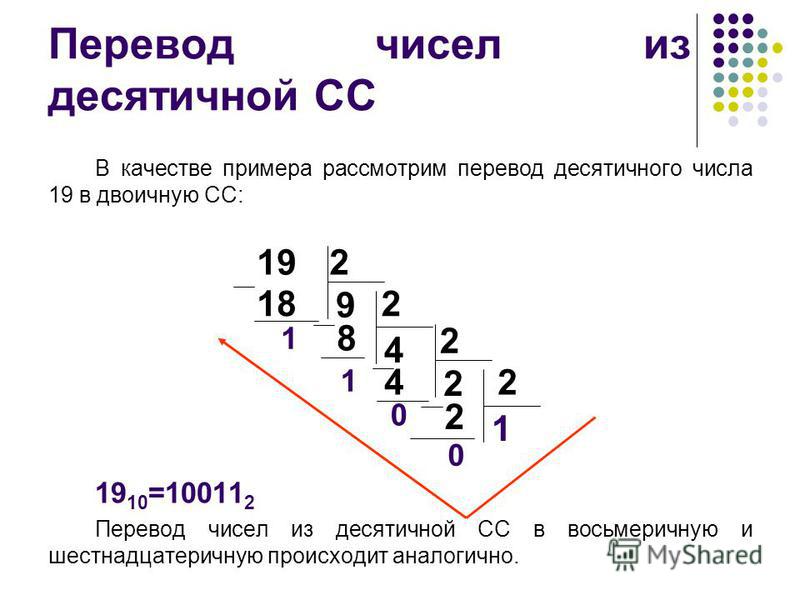 100101 из двоичной в десятичную систему счисления. Примеры перевода из десятичной системы счисления в двоичную. Информатика перевод числа из десятичной системы в двоичную. Как перевести десятичную систему счисления в двоичную. 10011 Перевести в десятичную систему счисления.