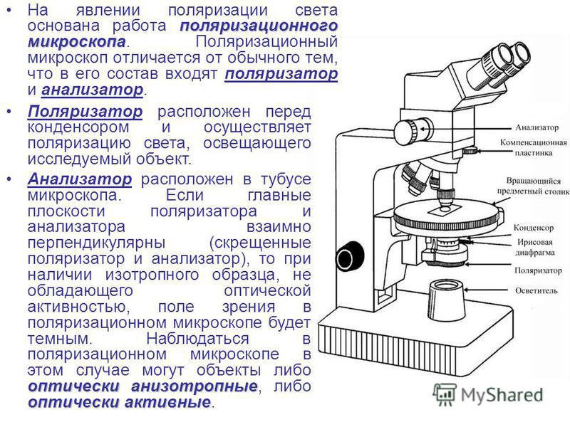 Чем цифровой микроскоп отличается от светового кратко