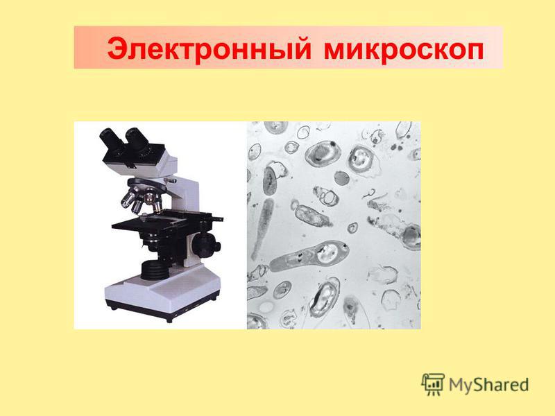 Электронный микроскоп 5 класс