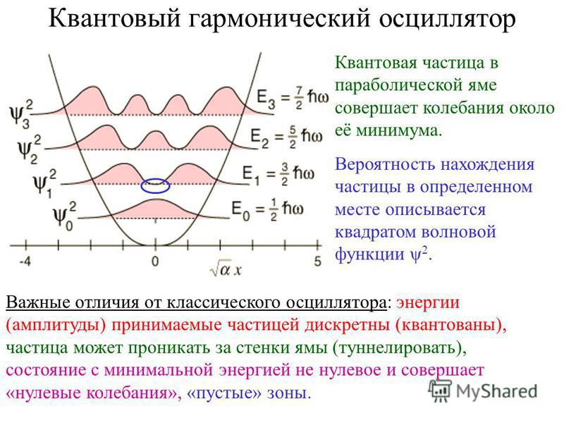 На каком из предложенных рисунков изображен энергетический спектр квантового линейного осциллятора