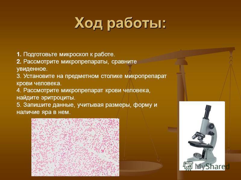 Ход работы. Подготовьте микроскоп к работе. Подготовка микроскопа к работе. Ход работы с микроскопом. Ход действия микроскопа.