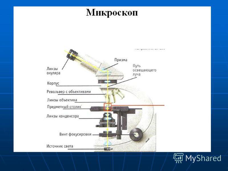 Устройство микроскопа оптическая схема