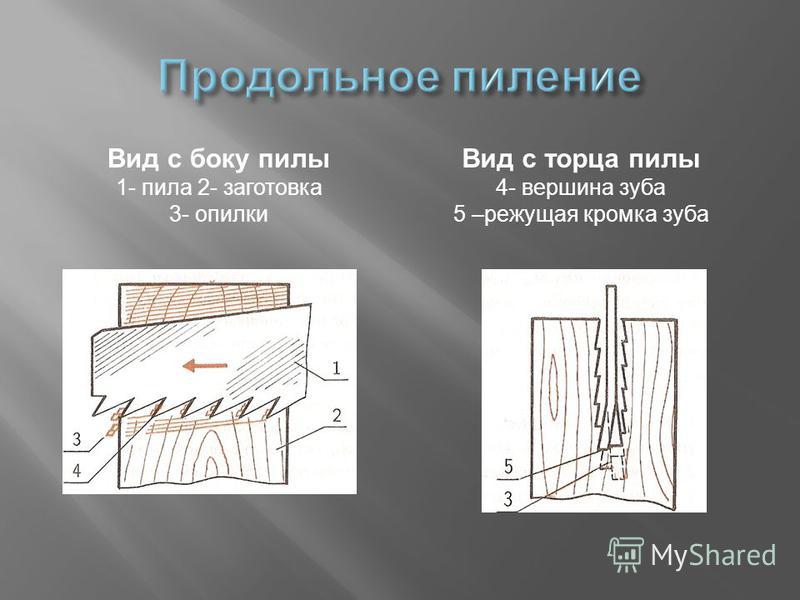 Типа попита. Пила для продольного пиления форма зуба. Ножовки для продольного и поперечного пиления. Форма зуба пилы для поперечного пиления. Зубья ножовки для продольного пиления.