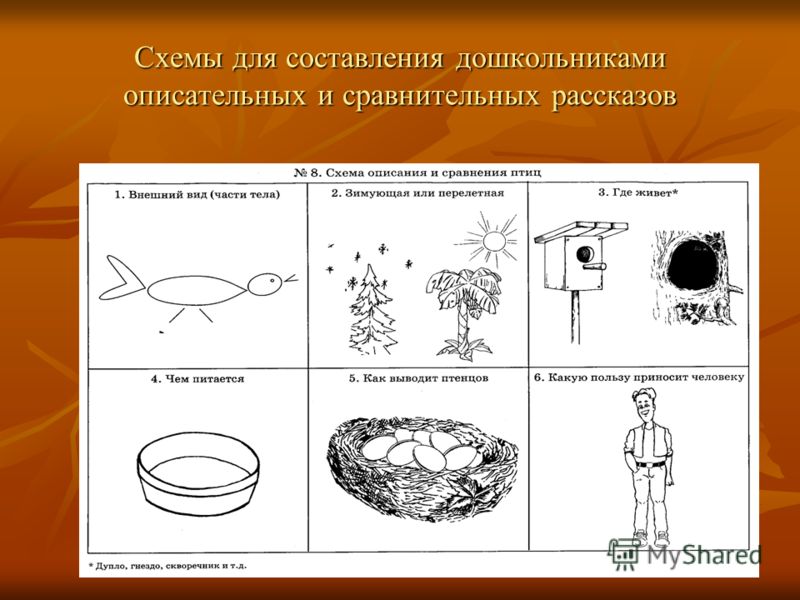 Составление рассказа описания по схеме