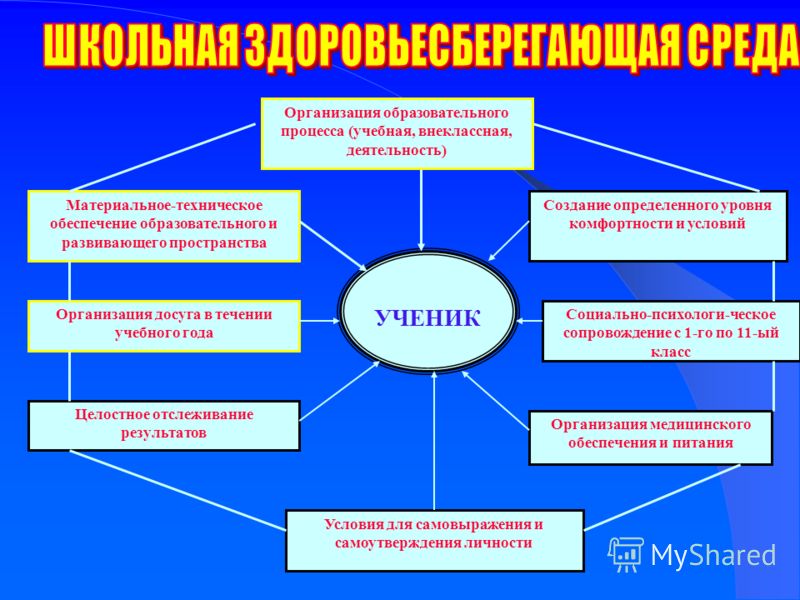 В вашей образовательной организации. Организация здоровьесберегающей среды в образовательном учреждении. Здоровьесберегающая среда в школе. Модель здоровьесбережения. Модель здоровьесбережения в школе.