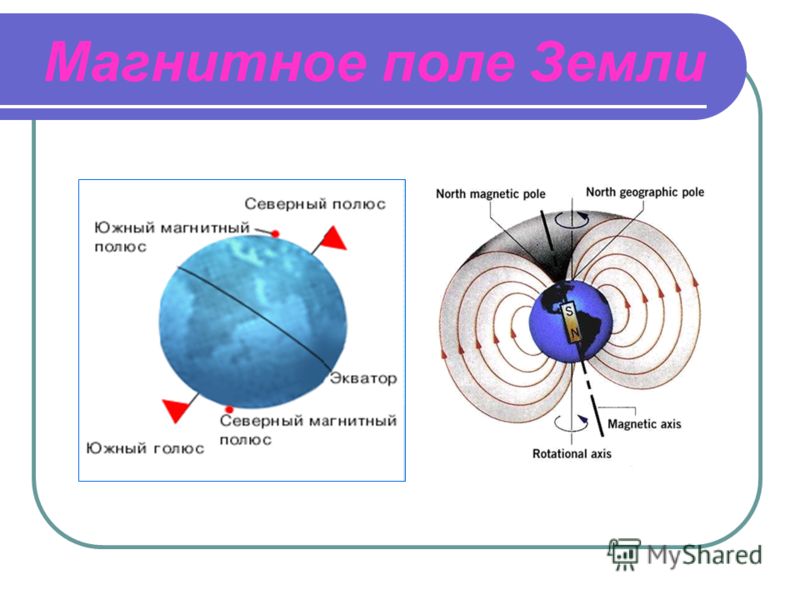 Презентация физика 8 магнитное поле