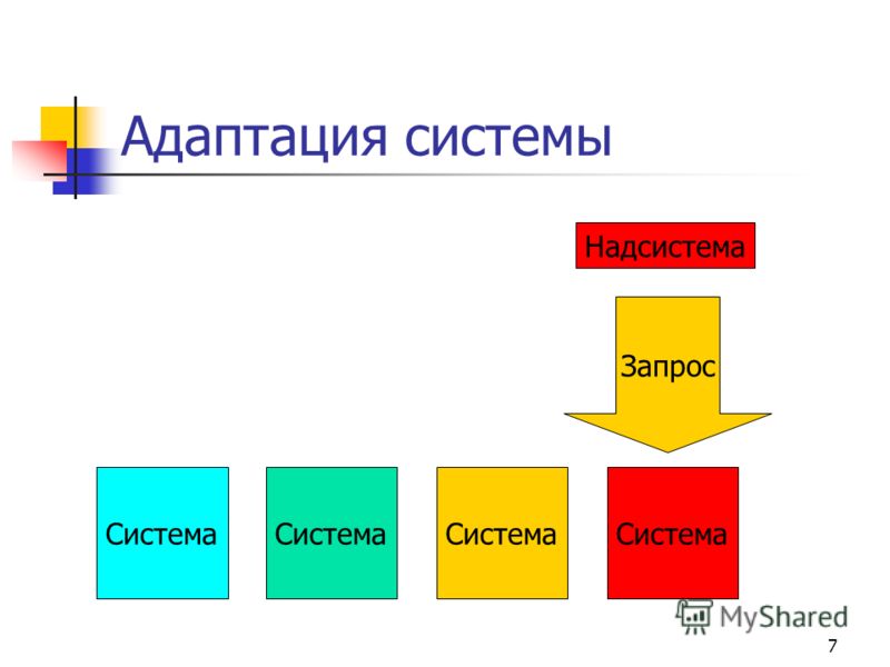 Следующая система