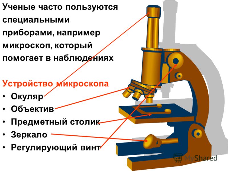 Устройство микроскопа схема