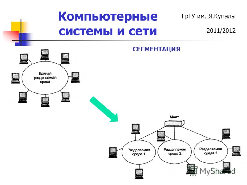 Какие виды сети. Сегментация сети. Классификация компьютерных сетей по принадлежности. Сегментация компьютерной сети приколы. Сколько видов сетевых служб.