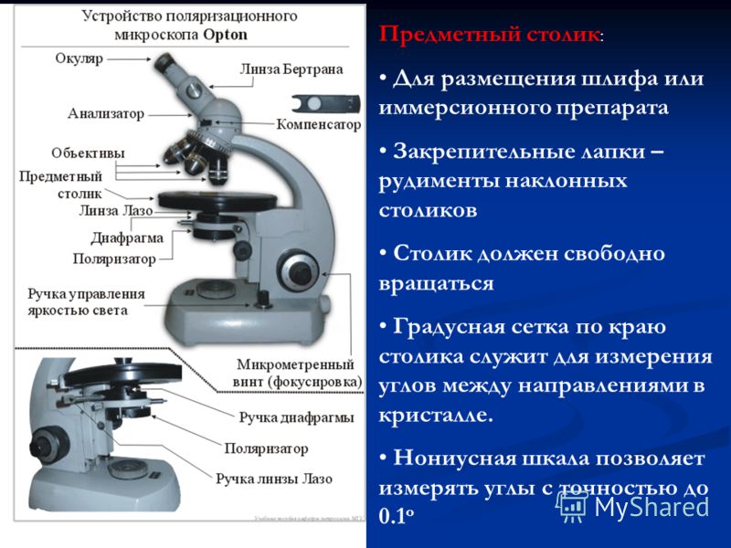 Ольга на уроке изучал устройство микроскопа и делал соответствующие подписи к рисунку какую деталь