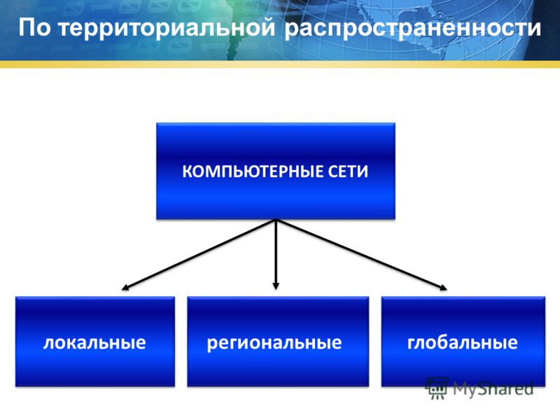 Схема компьютерные сети локальные глобальные региональные