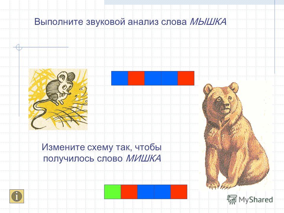 Медведь звуковая схема 1 класс