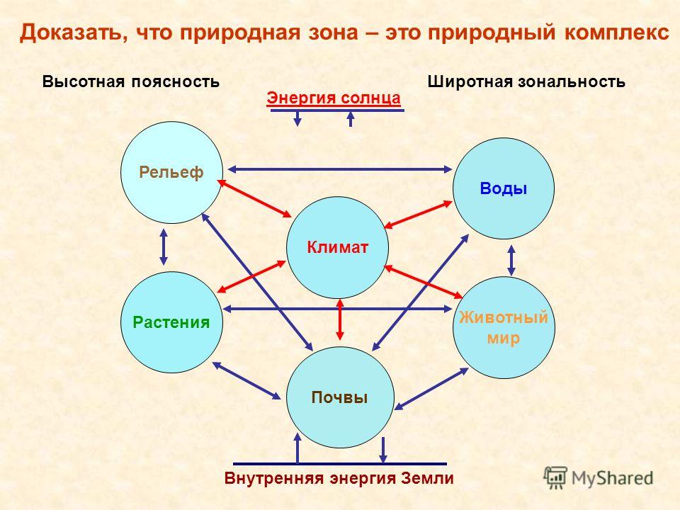 Каким образом природно. Схема природного комплекса. Природный комплекс рисунок. Компоненты природного комплекса. Схема строения природного комплекса.