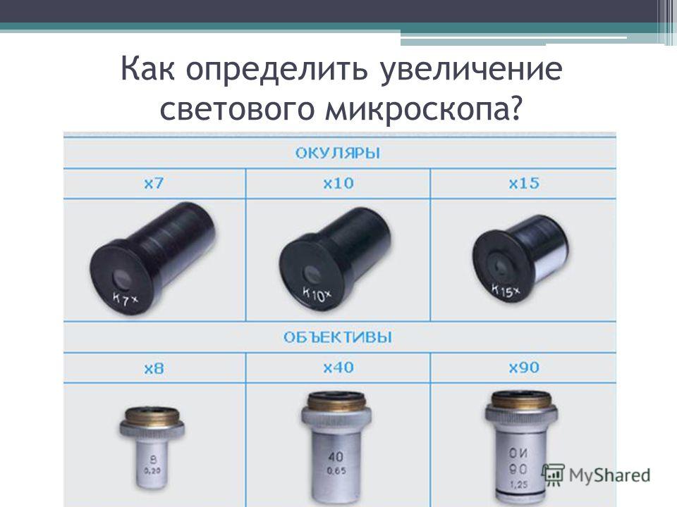 Окуляр микроскопа дает какое изображение