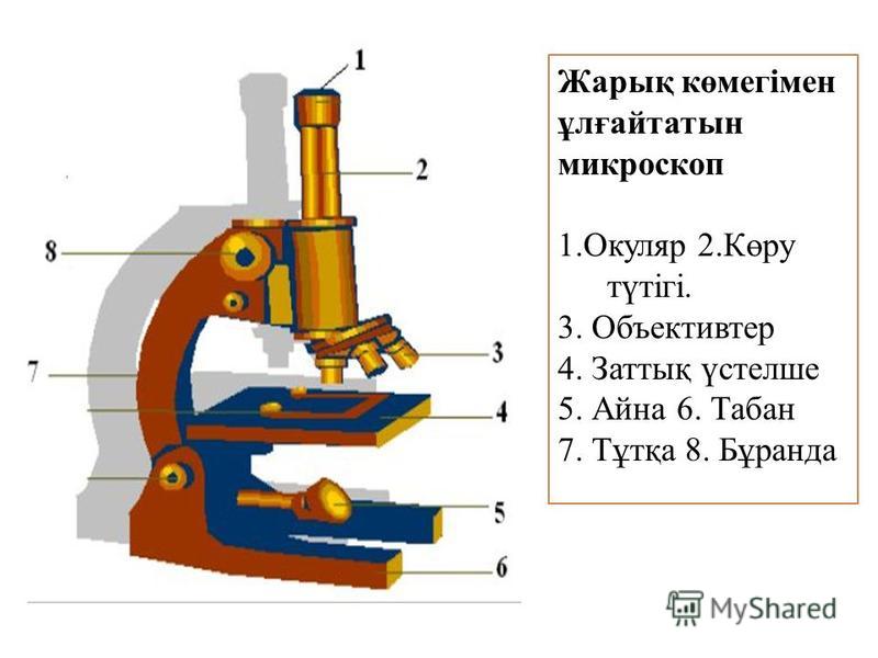 Схема цифрового микроскопа