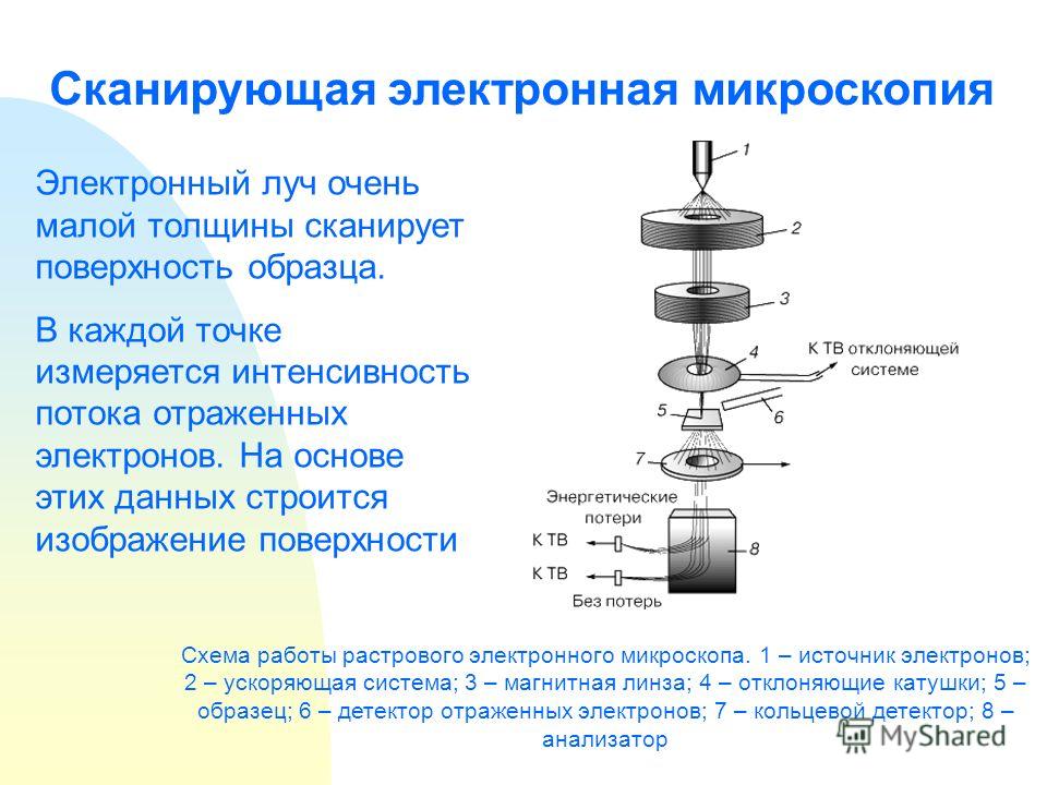 Кем был создан сканирующий тепловой микроскоп для определения теплопроводности образца на наноуровне