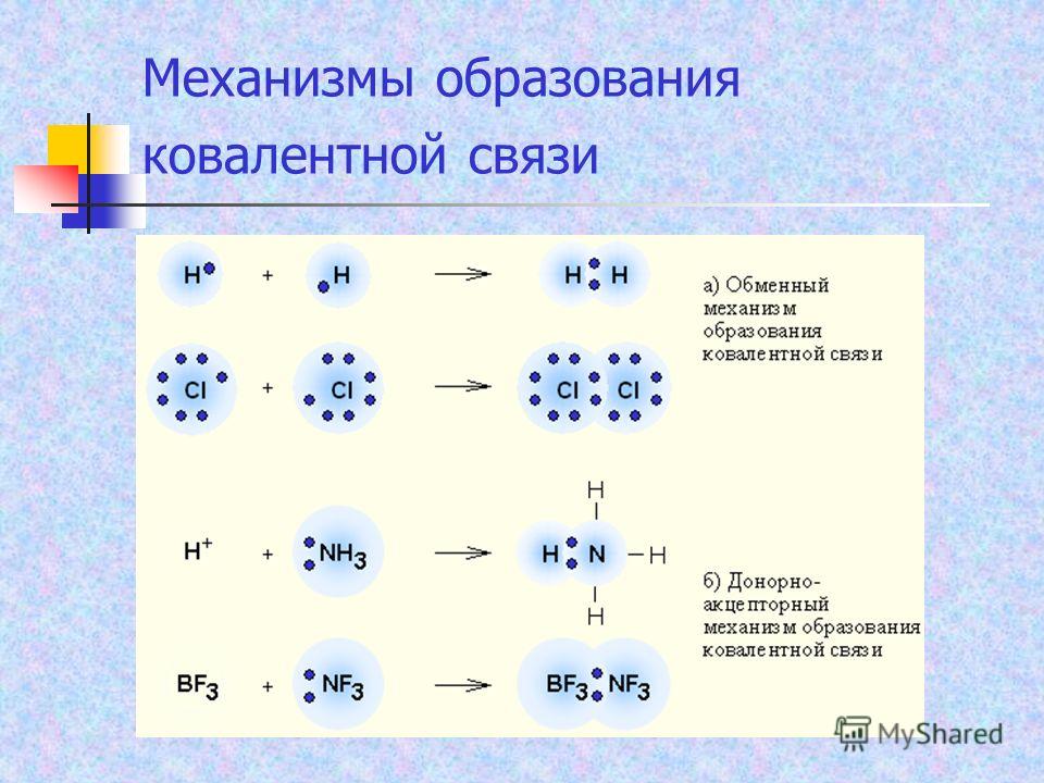 Ca2 схема образования