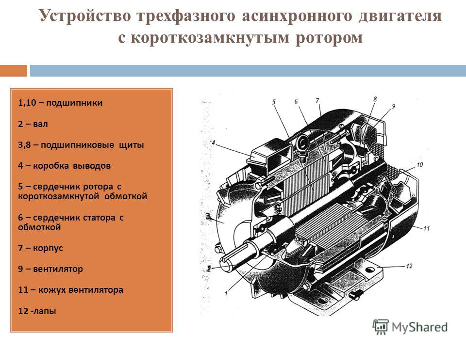 Устройство ротора асинхронного двигателя