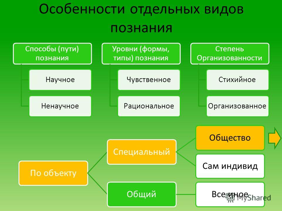 Область знаний виды