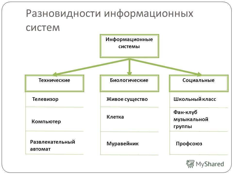 Какие виды их существуют