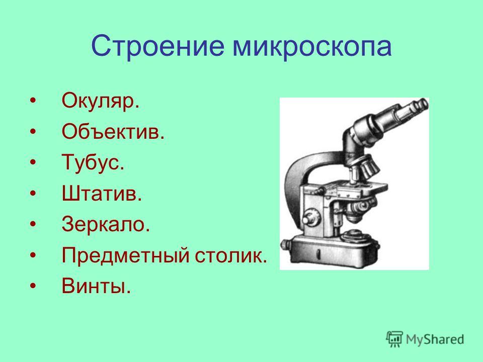 Оптический микроскоп строение