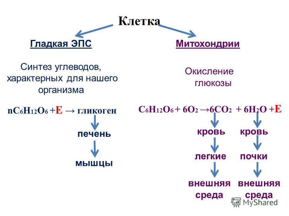 Первый искусственный синтез углеводов схема реакции