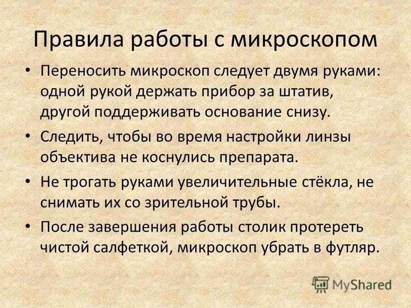 Правила с микроскопом