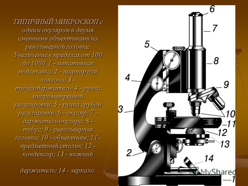 Почему микроскоп. Револьверная головка микроскопа. Тубусодержатель микроскопа. Регулировочное кольцо микроскопа. Микроскоп с подписями тубусодержатель.