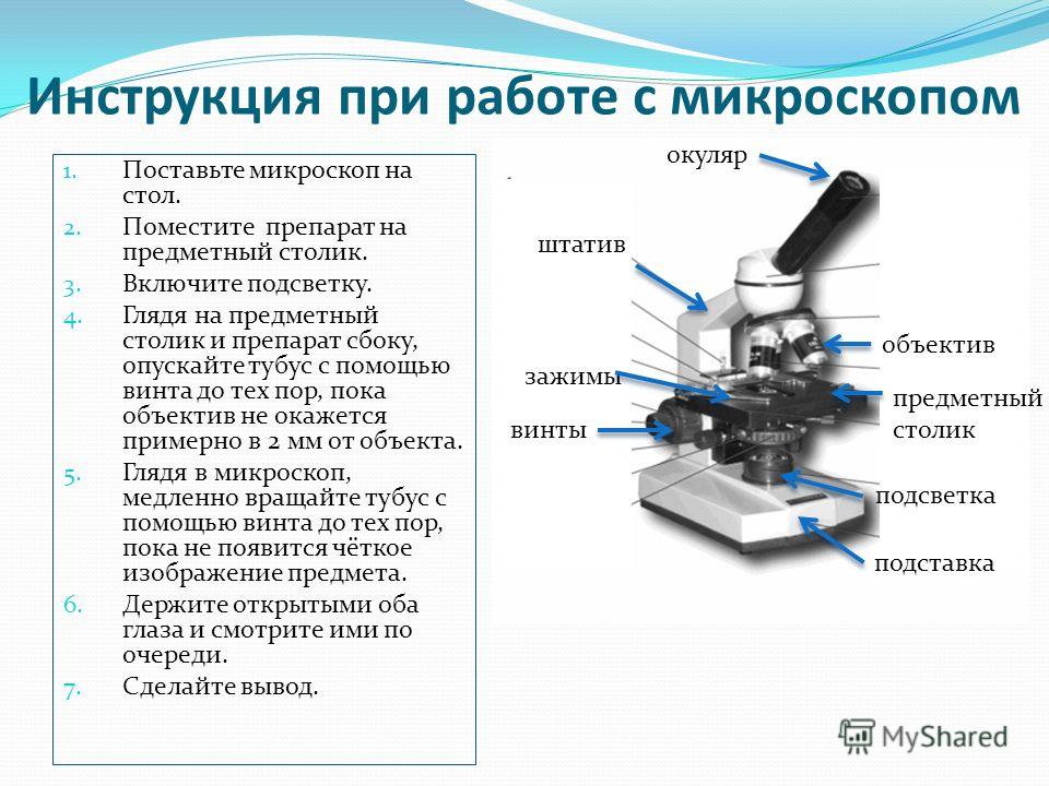 С помощью какого микроскопа. Предметный столик микроскопа МБС 1. Строение предметного столика микроскопа. Регулировочный винт микроскопа Назначение. Предметный столик микроскопа МБС 1 чертеж.