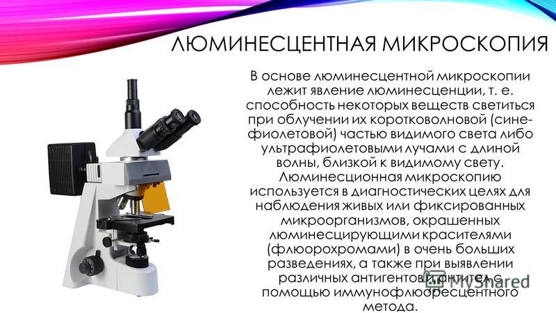 Опишите микроскопию