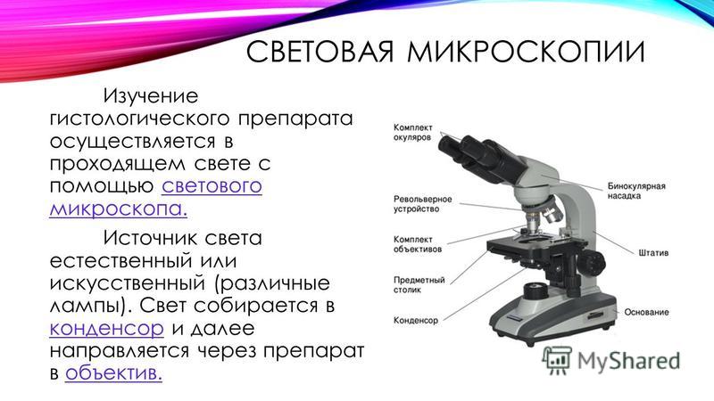 Чем световой микроскоп отличается от цифрового микроскопа