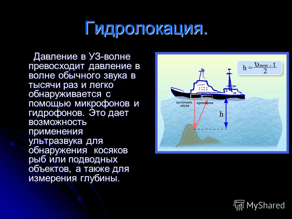 Ультразвук сообщение по физике 9. Гидролокация. Гидролокация ультразвук. Пассивный гидролокатор. Ультразвук в воде.