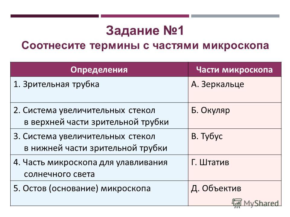 Какую функцию выполняет тубус в микроскопе 5