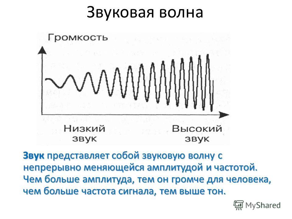 Презентация про звук