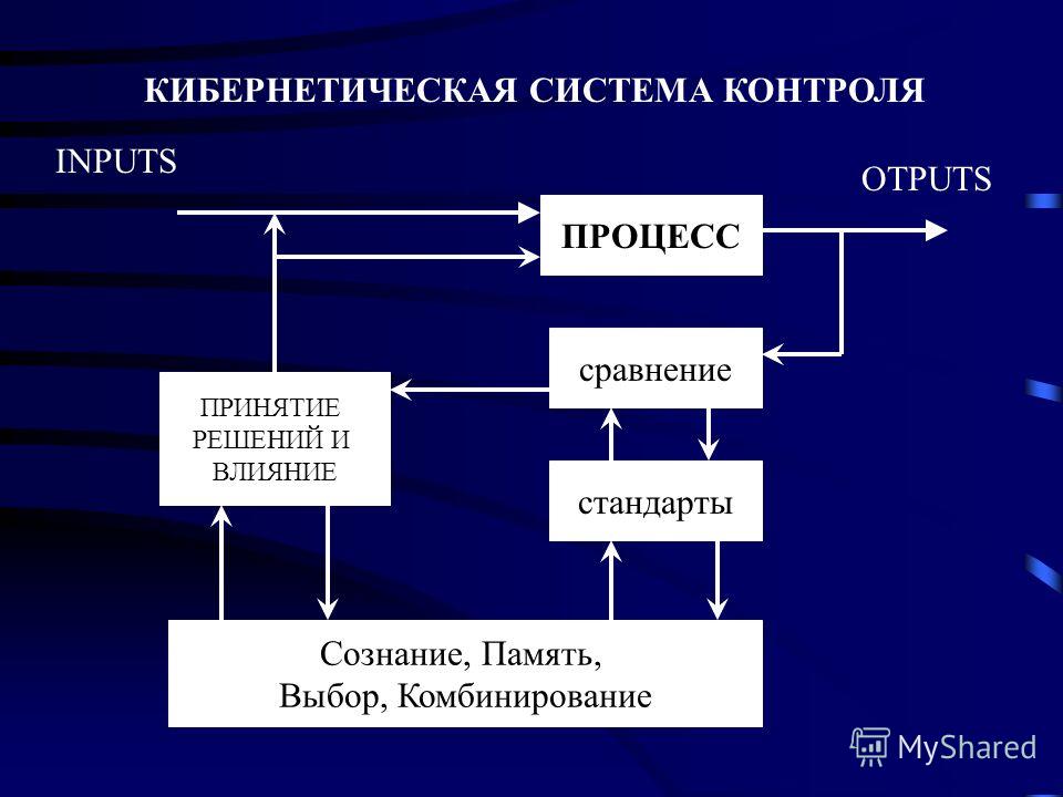 Кибернетическая модель управления схема