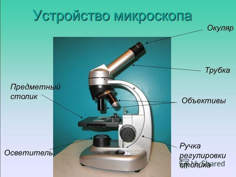 Части микроскопа