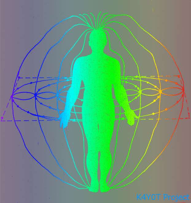 Локальное воздействие постоянного магнитного поля на человека. Спектр магнитного поля человека. Изобразите спектр магнитного поля человека. Электромагнитное поле человека. Магнитное поле человека.