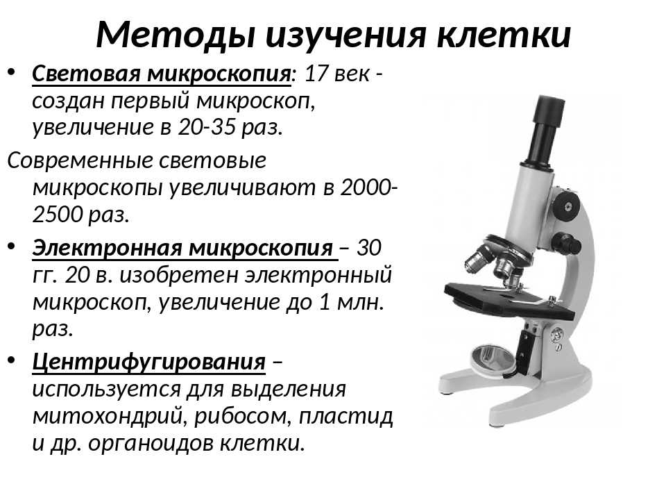 Лабораторная работа изучение микроскопического. Методы изучения клетки таблица биология 10. Микроскоп вид сбоку. Световой микроскоп сбоку медовед. Световой микроскоп с иммерсией кратко.