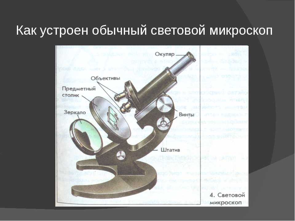 Антон на уроке изучал устройство микроскопа и делал соответствующие подписи к рисунку какую деталь